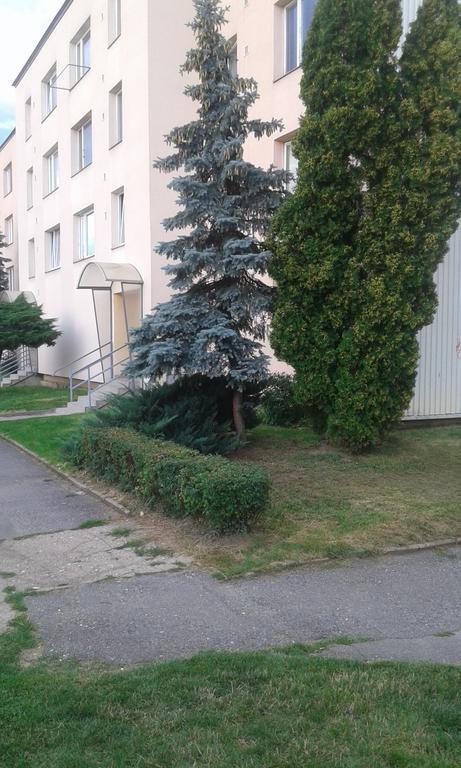 Apartman Ortenova 74 Kutná Hora Exterior foto
